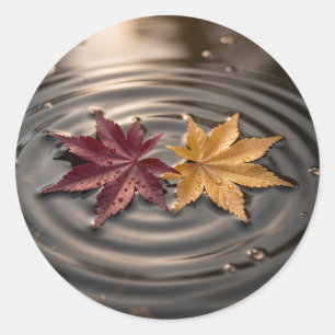 Autumn Maple Leaves Floating on Water Classic Round Sticker
