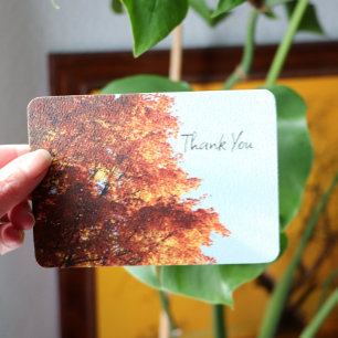 Autumn Maple Leaves Holiday Card