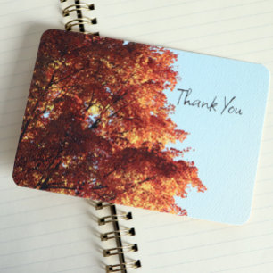 Autumn Maple Leaves Thank You Card