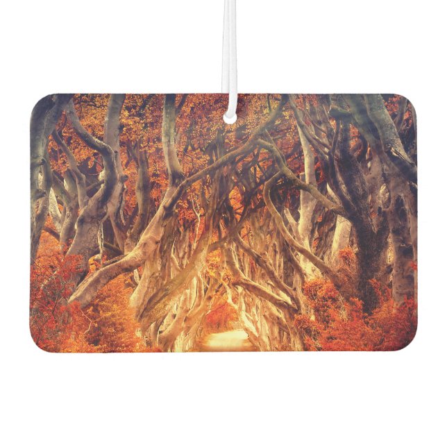 Autumn maple tree forest fall woods foliage car air freshener (Front)