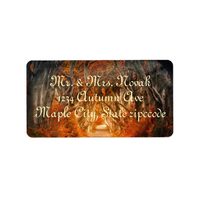 Autumn maple tree forest fall woods foliage label (Front)