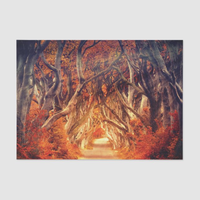 Autumn maple tree forest fall woods foliage tissue paper (Front)