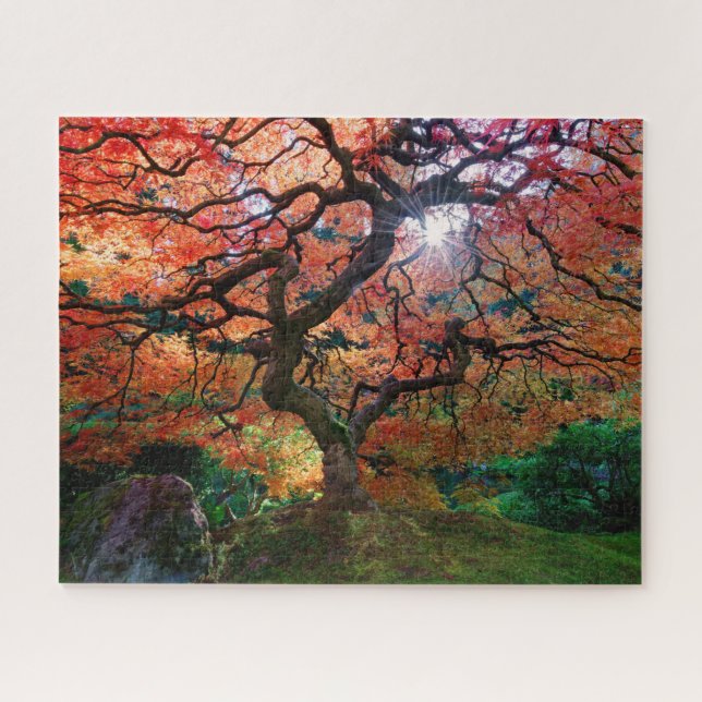 Autumn Maple Tree in Portland Japanese Garden Jigsaw Puzzle (Horizontal)