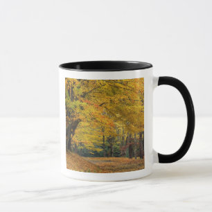 Autumn maple tree overhanging country lane, mug