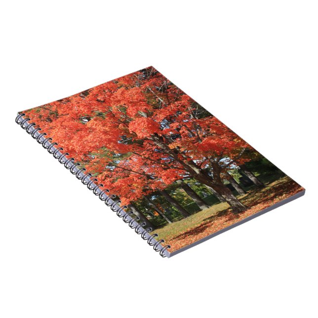 Autumn Maple Tree Spiral Notebook (Right Side)