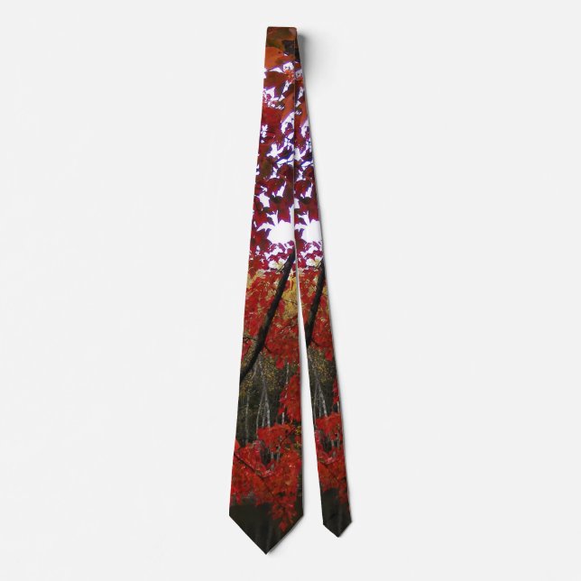Autumn Maple Tree Tie (Front)