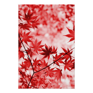 Autumn Maple Trees Leaves Design-29997 Poster
