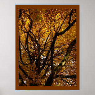 Autumn Maple Trees Print Landscape Poster