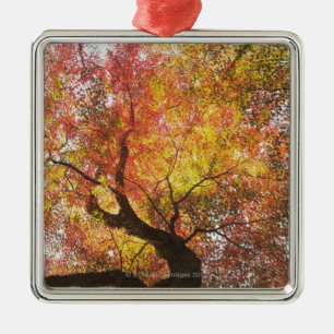 Autumn Metal Tree Decoration