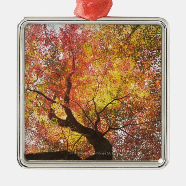 Autumn Metal Tree Decoration (Front)