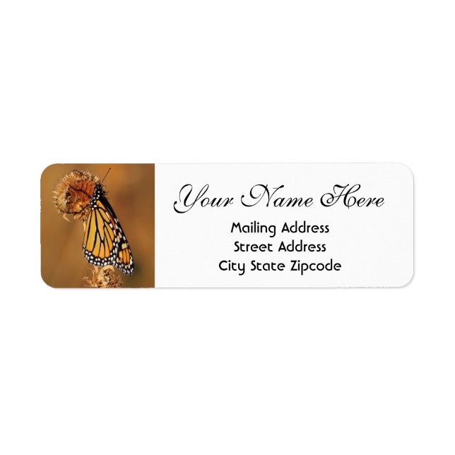 Autumn Monarch Butterfly Return Address (Front)