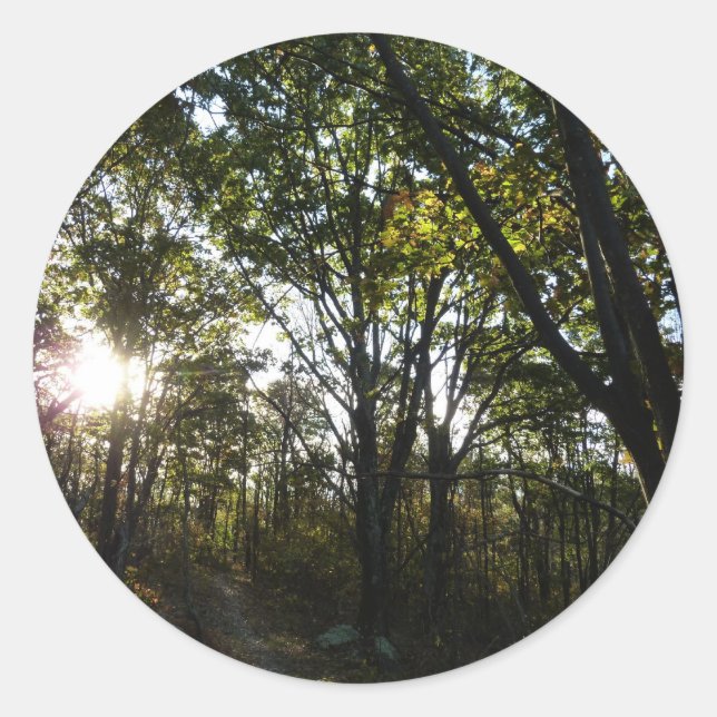 Autumn Morning at Shenandoah National Park Classic Round Sticker (Front)