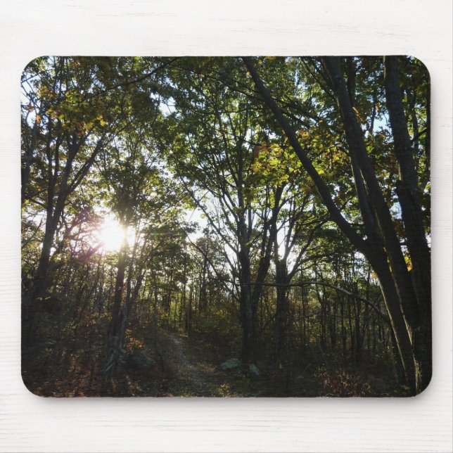 Autumn Morning at Shenandoah National Park Mouse Mat (Front)