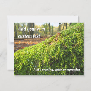 Autumn Moss in Golden Sunshine - Personalised Postcard