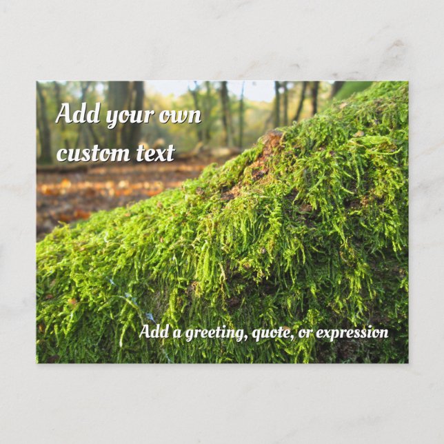 Autumn Moss in Golden Sunshine - Personalised Postcard (Front)