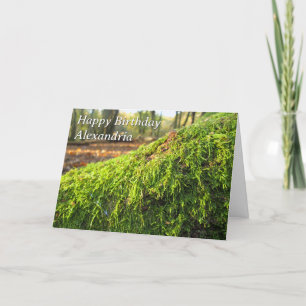 Autumn Moss in Sunshine - Custom Birthday Card