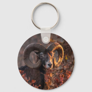 Autumn Mouflon Ram Original Wildlife Photography Key Ring