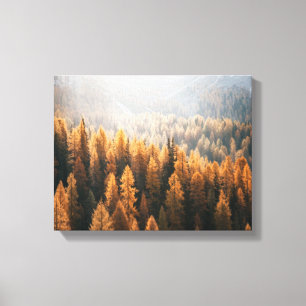 Autumn Mountain View With Yellow Larches Canvas Print