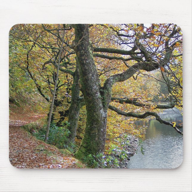 AUTUMN MOUSE MAT (Front)
