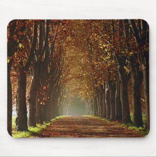 autumn mouse mat
