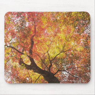 Autumn Mouse Mat