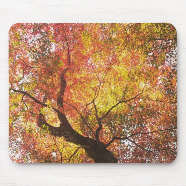 Autumn Mouse Mat (Front)