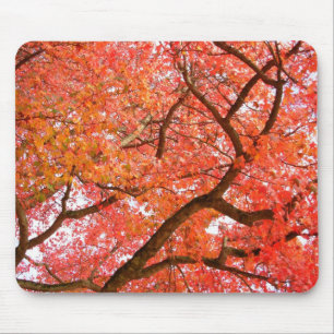Autumn Mousepad Beautiful Autumn Landscape Gifts