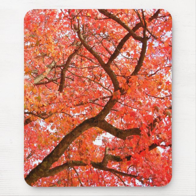 Autumn Mousepad Beautiful Autumn Landscape Gifts (Front)