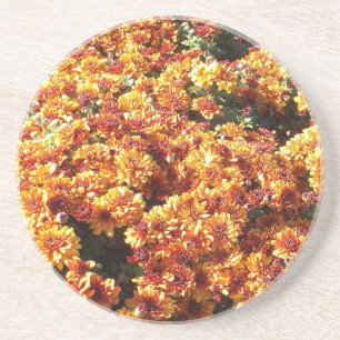 Autumn Mums Coaster
