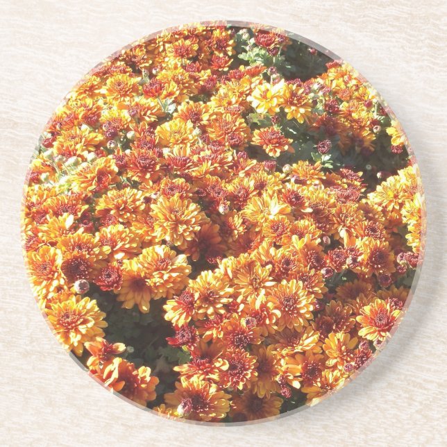Autumn Mums Coaster (Front)