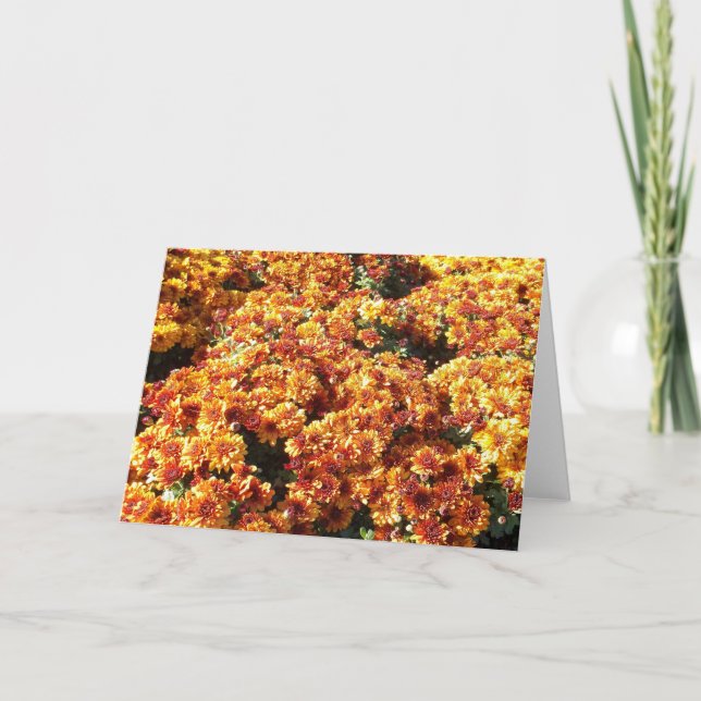 Autumn Mums Holiday Card (Front)