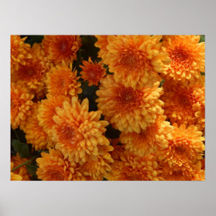 Autumn Mums Poster