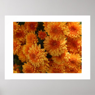 Autumn Mums Poster