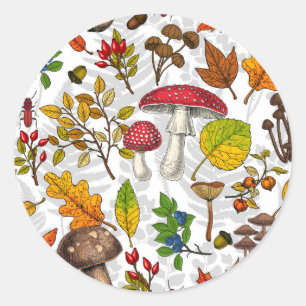 Autumn mushrooms, leaves, nuts and berries on blue classic round sticker