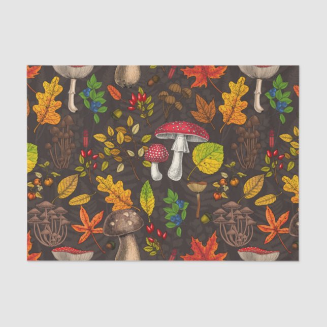 Autumn mushrooms, leaves, nuts and berries on dark tissue paper (Front)