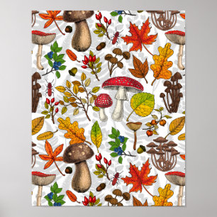 Autumn mushrooms, leaves, nuts and berries on whit poster
