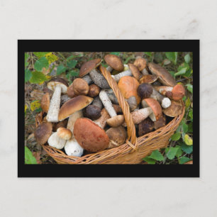 autumn mushrooms postcard