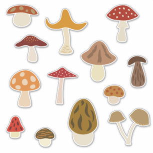 Autumn Mushrooms Vinyl Stickers
