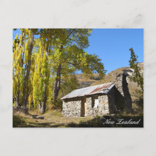 Autumn Nature, Hut, Countryside, New Zealand  Postcard