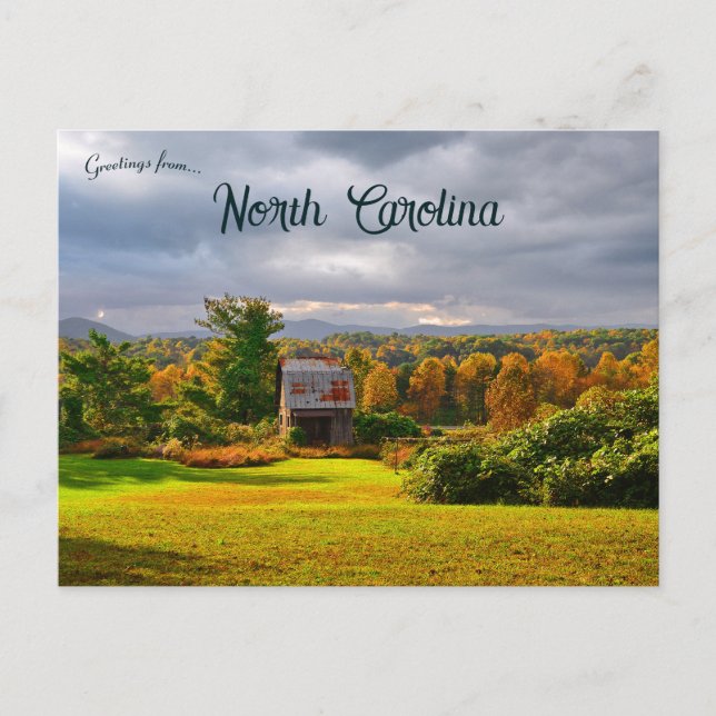 Autumn Near Mt Airy North Carolina Postcard (Front)
