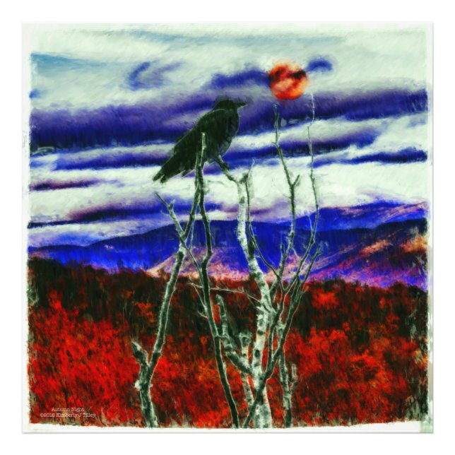 Autumn Night Photo Print (Front)