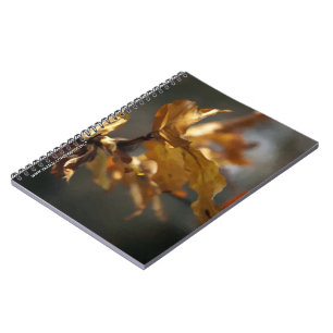 Autumn Notebook