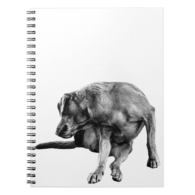 Autumn Notes with Playful Pup Notebook (Front)