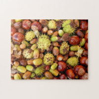 Autumn nuts and conkers