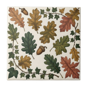 Autumn Oak Leaves Acorn Ivy Botanical Study Tile