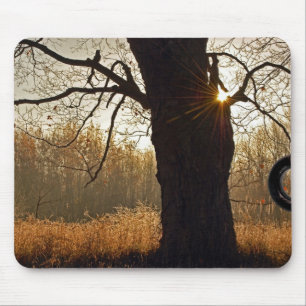 Autumn Oak Mouse Mat
