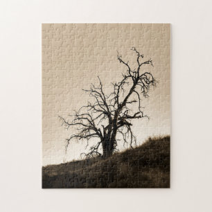 Autumn Oak Tree Jigsaw Puzzle