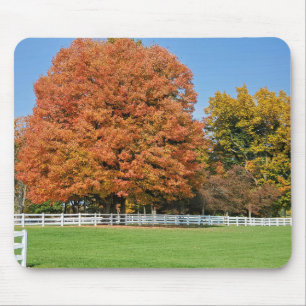 Autumn Oak Tree Mouse Mat