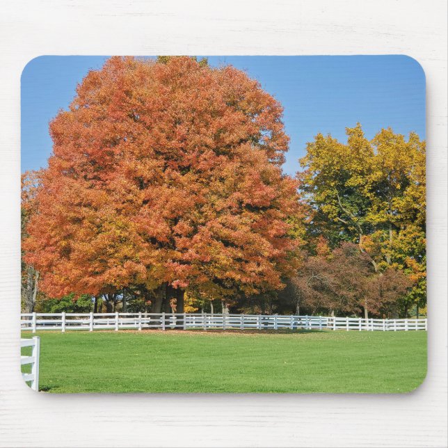 Autumn Oak Tree Mouse Mat (Front)