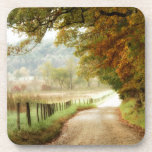 Autumn on a Country Road Coaster<br><div class="desc">Home Décor</div>